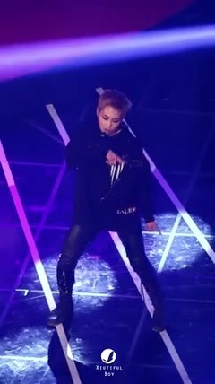 EXO,XIUMIN(EXO) - 161116 2016 Asia Artist Awards - MONSTER