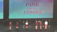 Apink - 一问一答1
