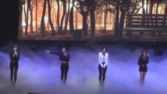 Apink - 3倍速舞蹈&Secret