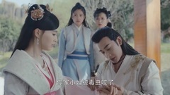 群星 - 未央赏景时遇到拓跋浚<锦绣未央>