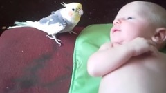 音乐短片 - Песенки для малыша