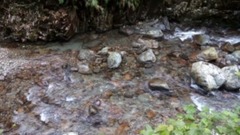 音乐短片 - Hymn For The Weekend