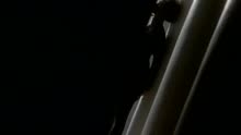 Whitney Houston - All The Man That I Need (Video Version)