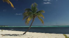 音乐短片 - 梦想