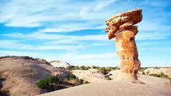 音乐短片 - 景观展览