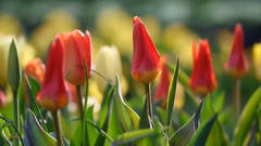 音乐短片 - 春天新生活