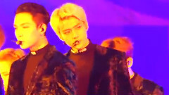 EXO,边伯贤(EXO) - Monster