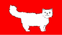 欧美群星 - Teo, El Gato Persa Rinde Su Declaracion