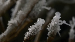 音乐短片 - 瑞雪诗篇