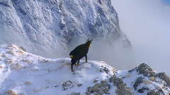 音乐短片 - 冬雪