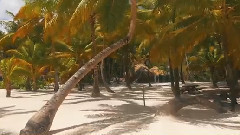 音乐短片 - 多米尼加蓬塔卡纳