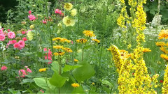 音乐短片 - 芭芭拉史翠珊与乔许葛洛班