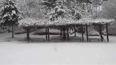 音乐短片 - 瑞雪 丰年