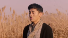 韩国群星 - Only Once