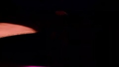 林忆莲 - 没有你还是爱你