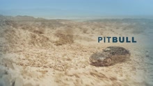 Pitbull - Rain Over Me