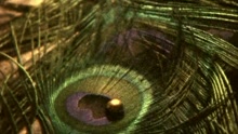 Living Things - Bombs Below (Main Video Version)