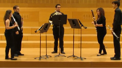 欧美群星 - Quintet In D Major, Op. 95 II