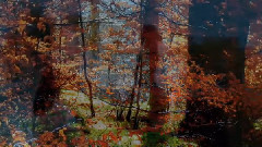 音乐短片 - Never Let Go