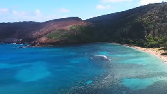 音乐短片 - 我的夏威夷之旅