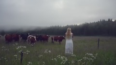 音乐短片 - The Singer Sings To The Audience