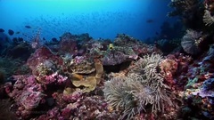 音乐短片 - ocean scenes