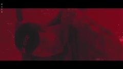 PENTAGON - Gorilla