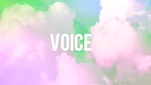  - VOICE