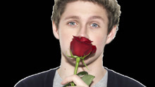 Niall Horan - This Town 官方歌词版