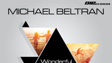 Wonderful Life
