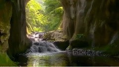 New - Lonely Flute