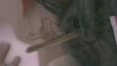 韩国群星 - Park Juhee - The Way To Love