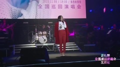庄心妍 - 后来才发现(2015甜妍蜜语全国巡回演唱会沈阳站)-庄心妍