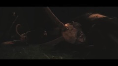 欧美群星 - Perchtenzeit