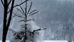 齐旦布 - 冰雪天堂