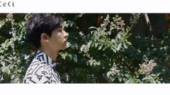 朴灿烈(EXO) - 朴灿烈单人版ceci