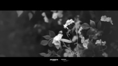 朴灿烈(EXO) - 朴灿烈Ins自作曲