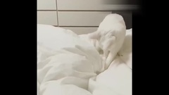 少女时代,Sunny(少女时代) - Instagram更新515sunnyday