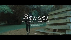 欧美群星 - Sensei