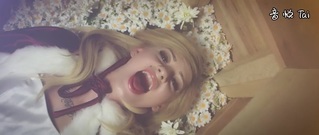 欧美群星 - Pushing Daisies