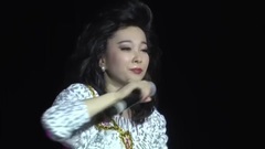 华语群星 - 邓丽君经典歌曲串烧