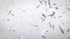 欧美群星 - Pretty Thoughts