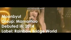EXID,Fiestar,MAMAMOO,宇宙少女,BLACKPINK - 2016年女团Rapper Top10 饭制版
