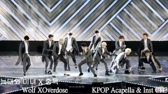 EXO - Wolf & Overdose Mash-Up