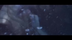 New - Extasy