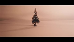 Zitten - 初雪
