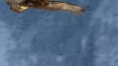 音乐短片 - 绝境逢生