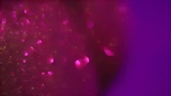 欧美群星 - De Todos Los Sabores