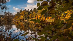 音乐短片 - 秋季运动