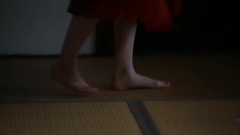 AKB48,乃木坂46,欅坂46 - 平手友梨奈"平式罗曼"
